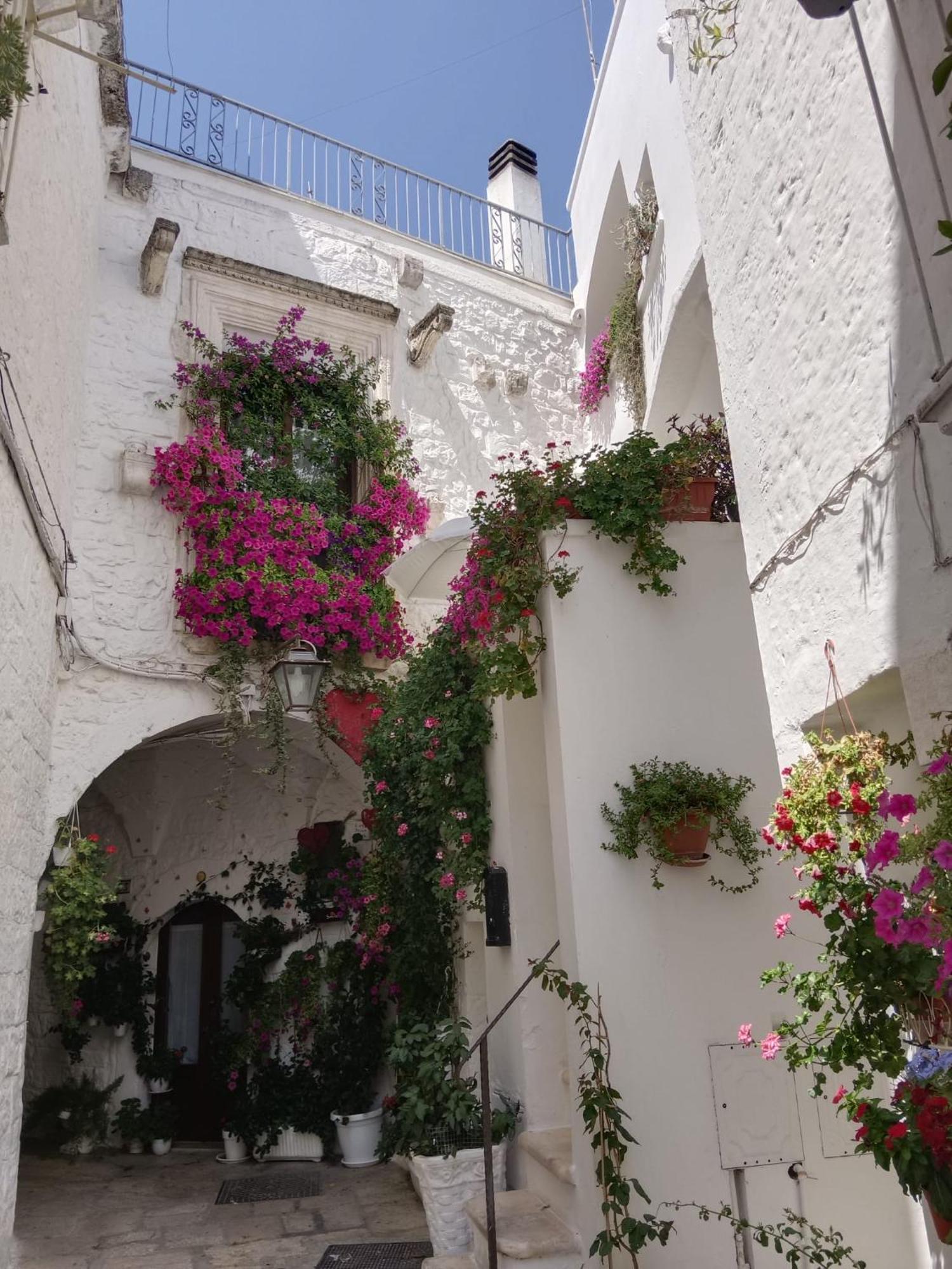 Palazzoliva - Luxury Boho Chic Guest House In The Historic Heart Of מרטינה פרנקה מראה חיצוני תמונה