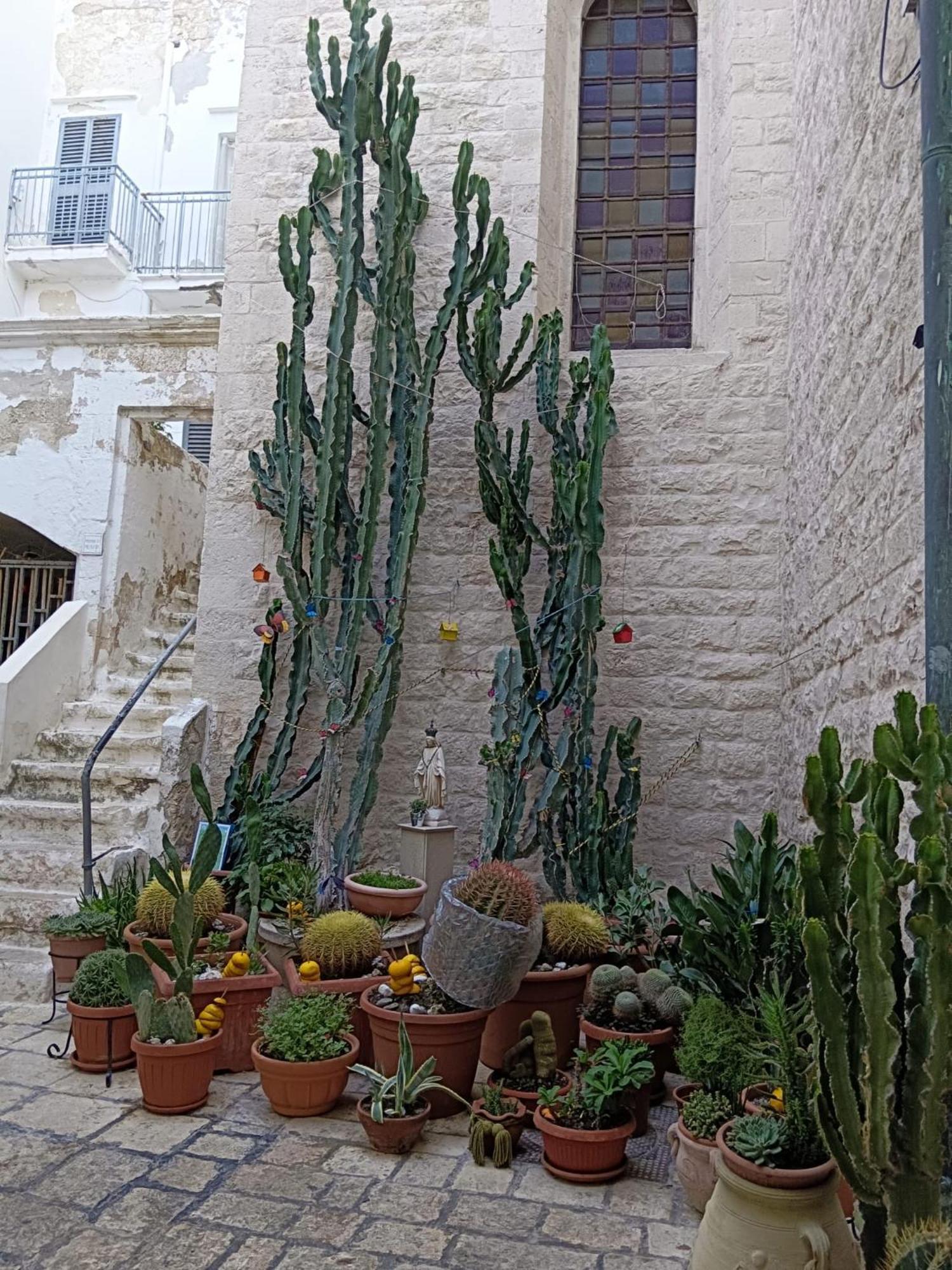 Palazzoliva - Luxury Boho Chic Guest House In The Historic Heart Of מרטינה פרנקה מראה חיצוני תמונה