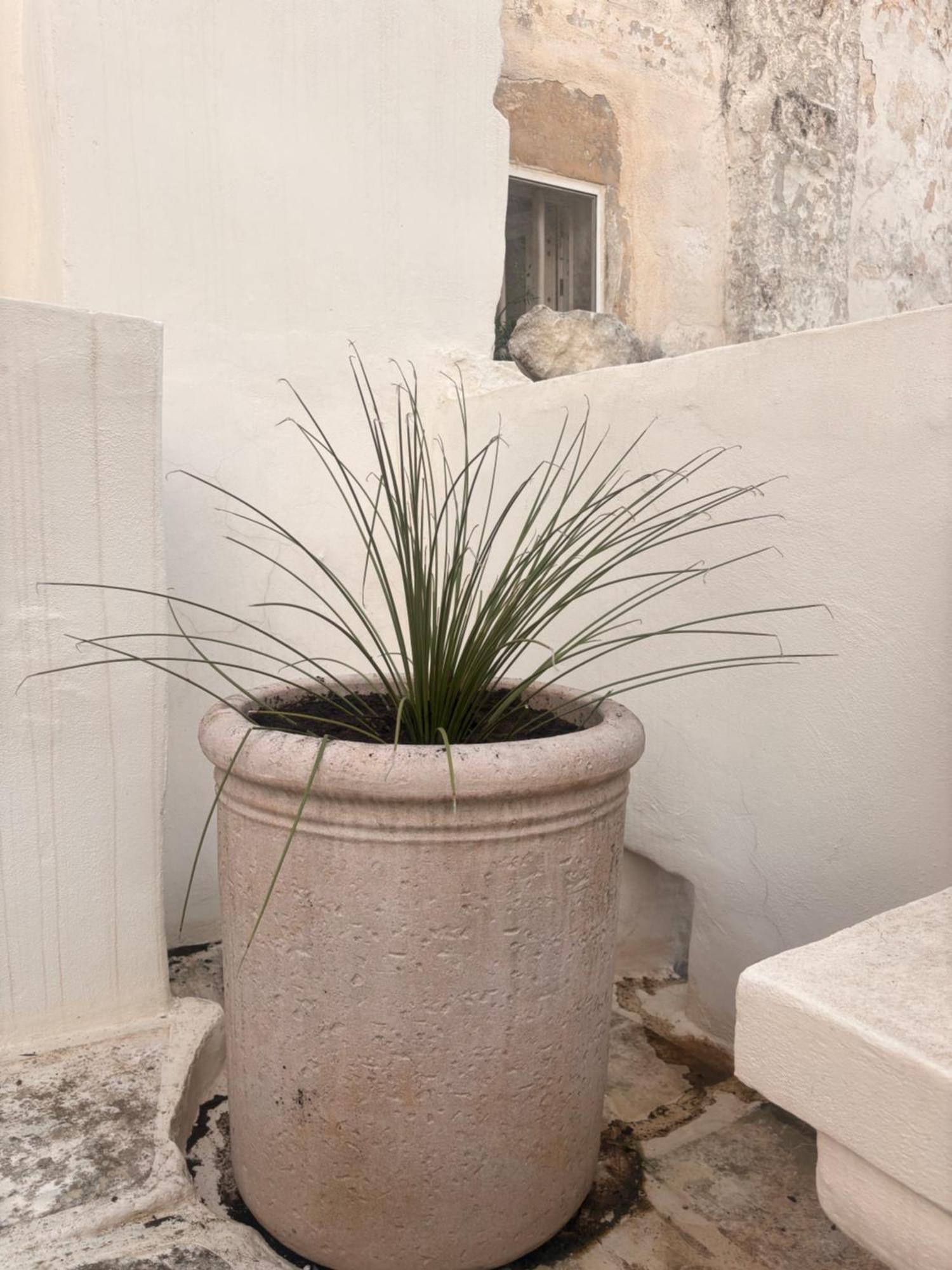 Palazzoliva - Luxury Boho Chic Guest House In The Historic Heart Of מרטינה פרנקה מראה חיצוני תמונה